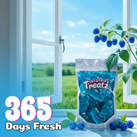Blue Rasp Gummy Bears