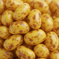 Jelly Belly Jelly Beans product photo 7 - Twisted Treatz candy store